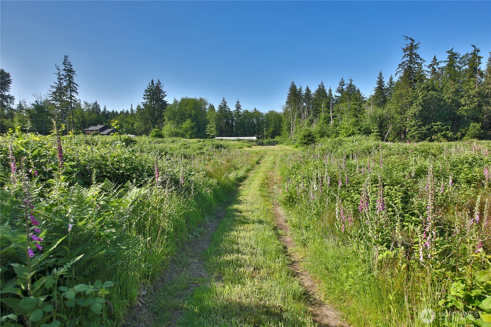2062 Goodell Road Property Photo 11