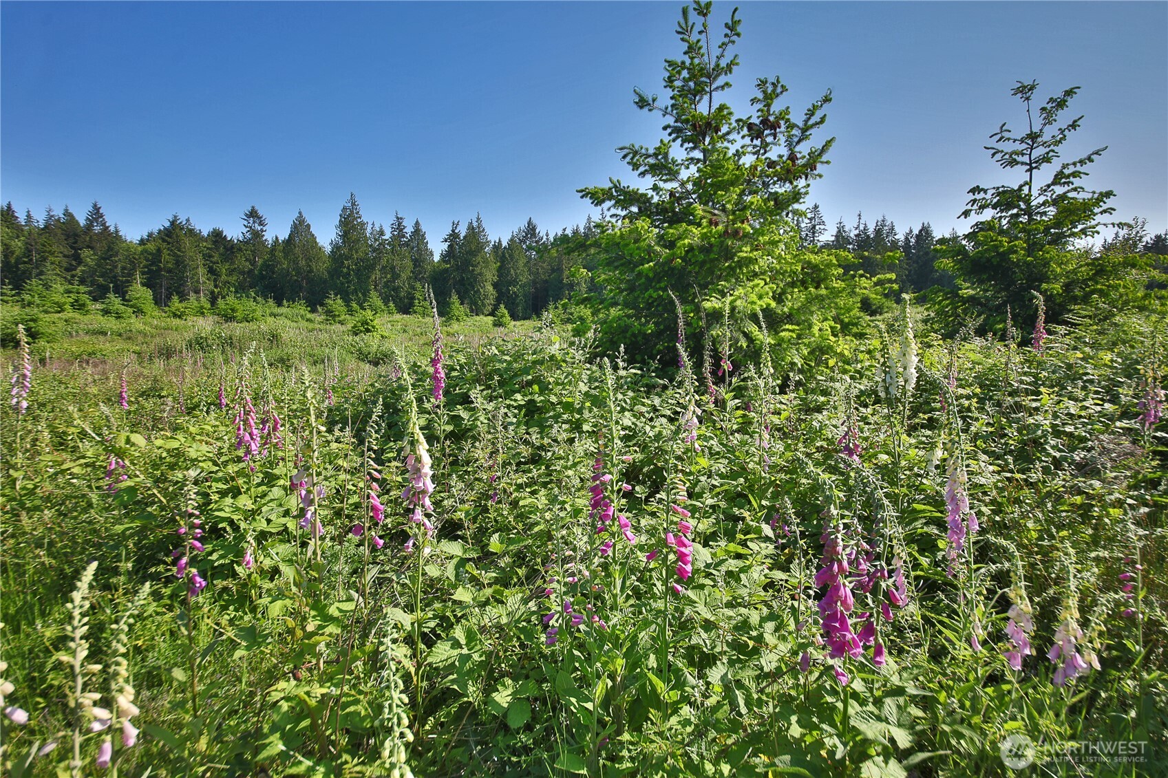 2062 Goodell Road Property Photo 13