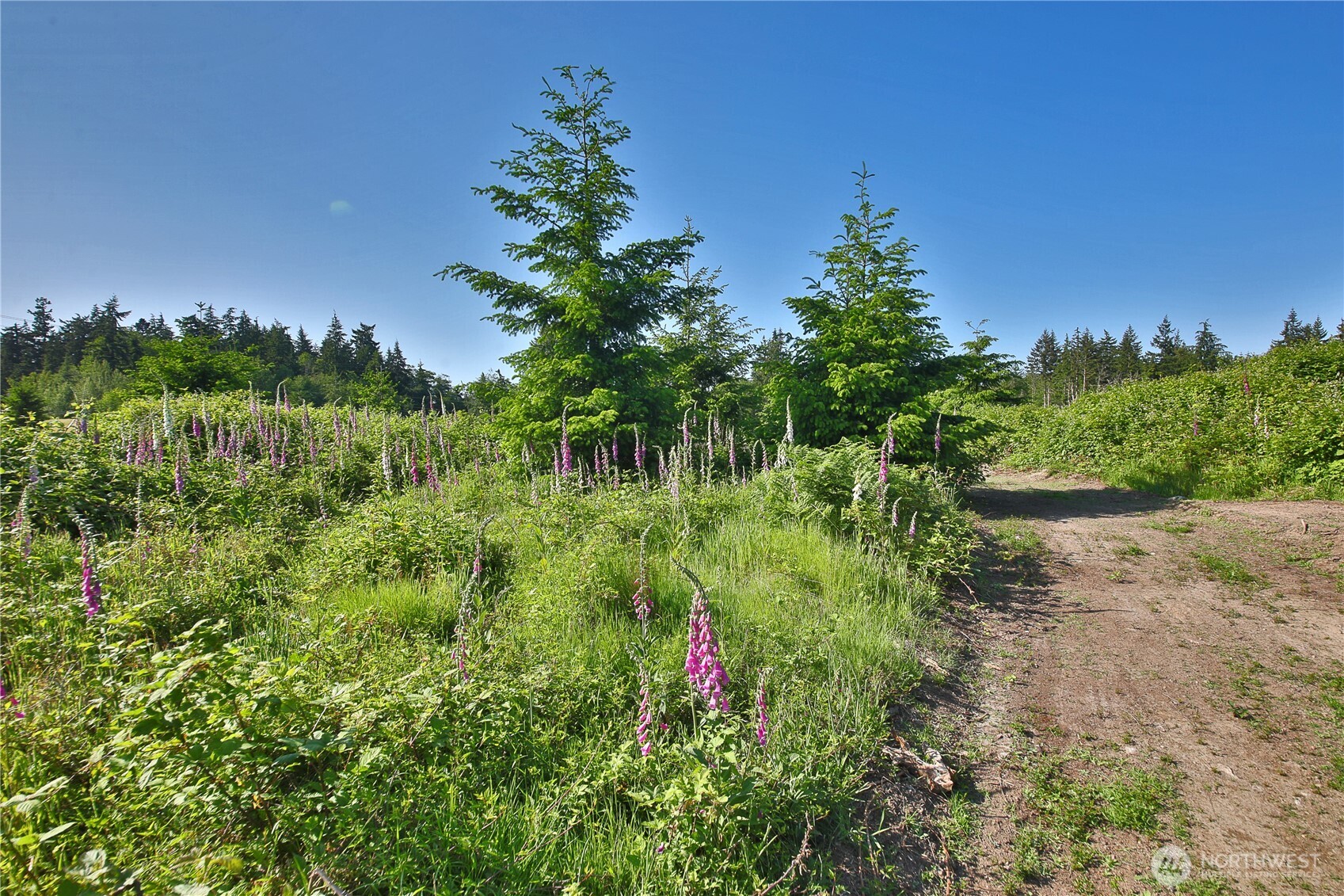 2062 Goodell Road Property Photo 14
