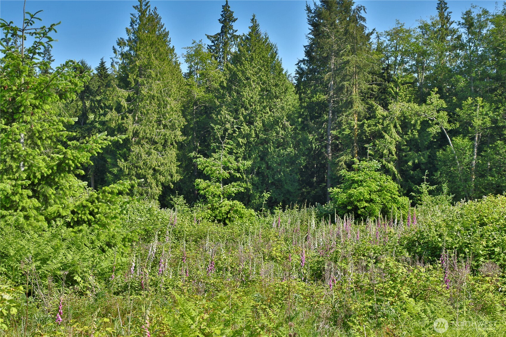 2062 Goodell Road Property Photo 16