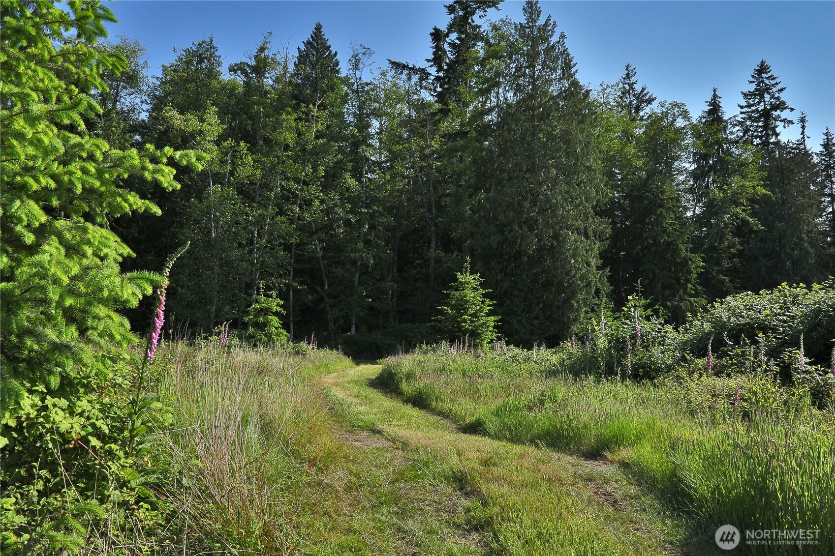 2062 Goodell Road Property Photo 17