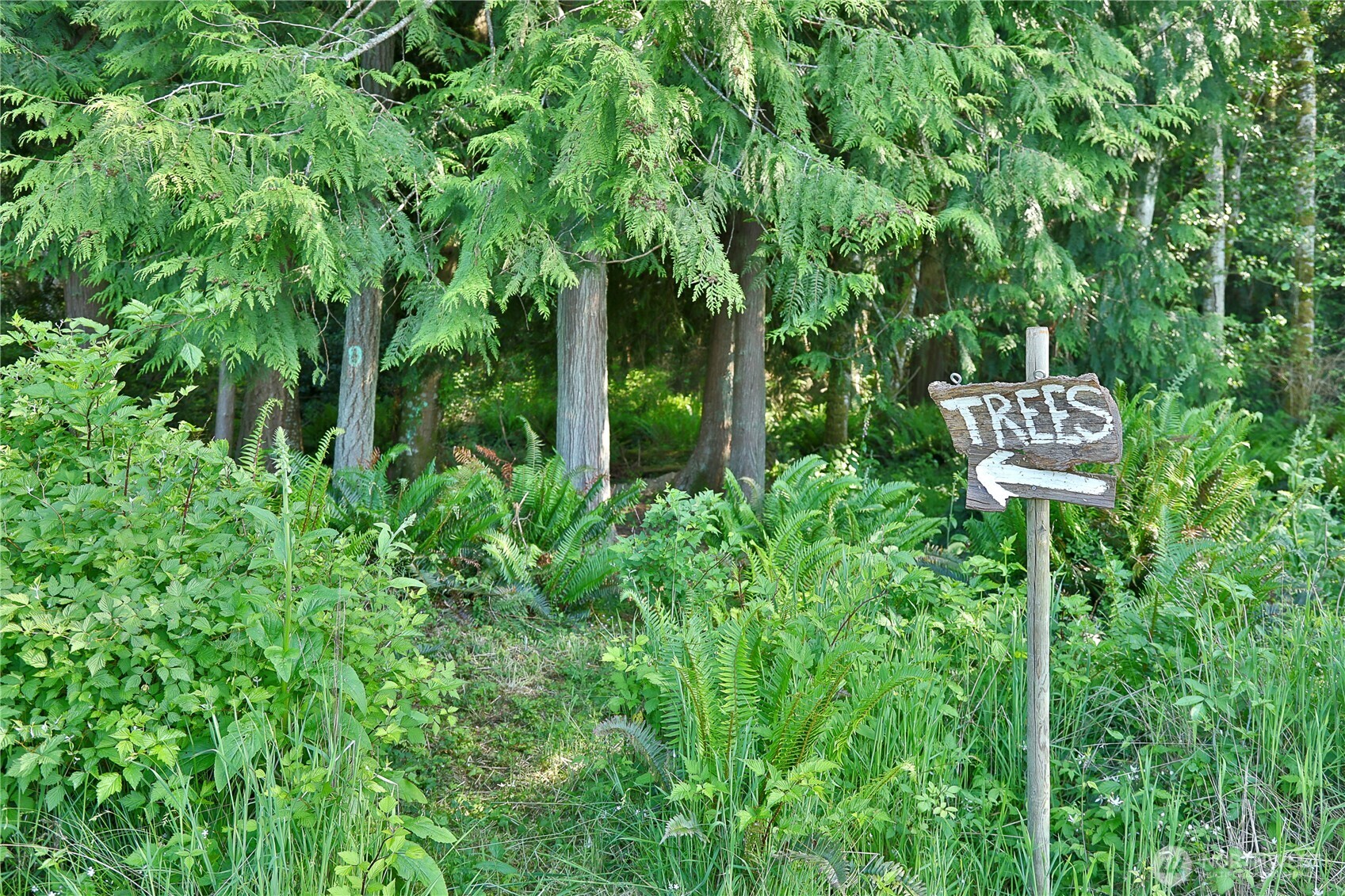 2062 Goodell Road Property Photo 18