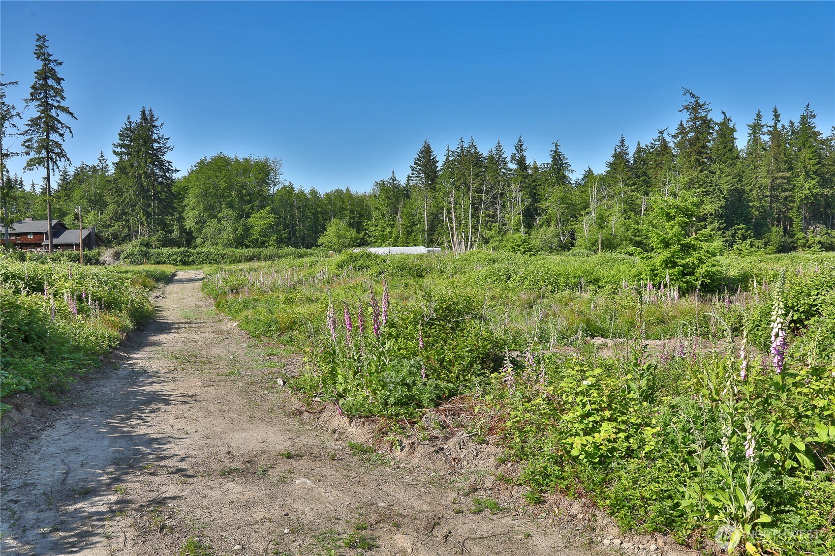 2062 Goodell Road Property Photo 20