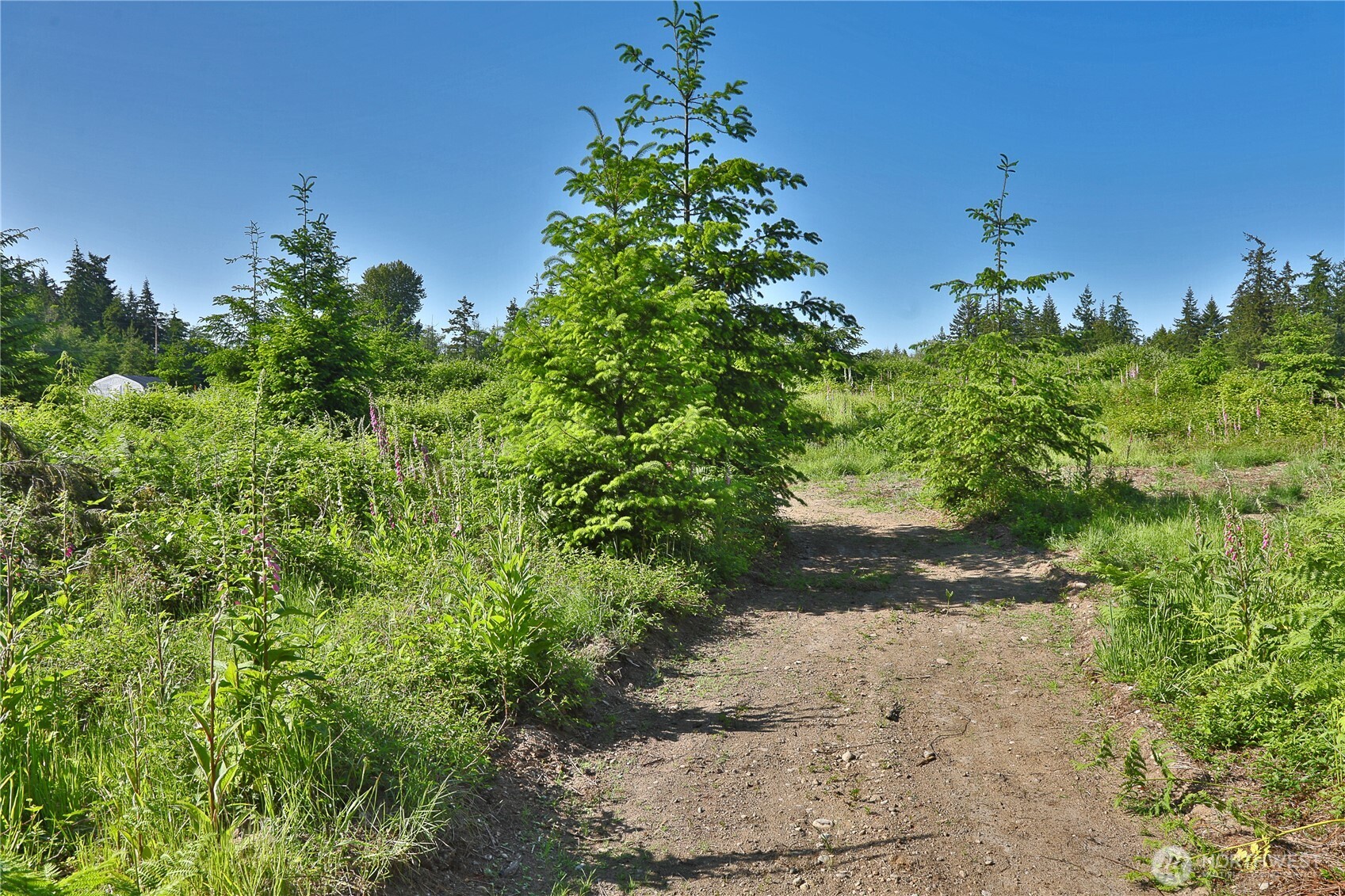 2062 Goodell Road Property Photo 21