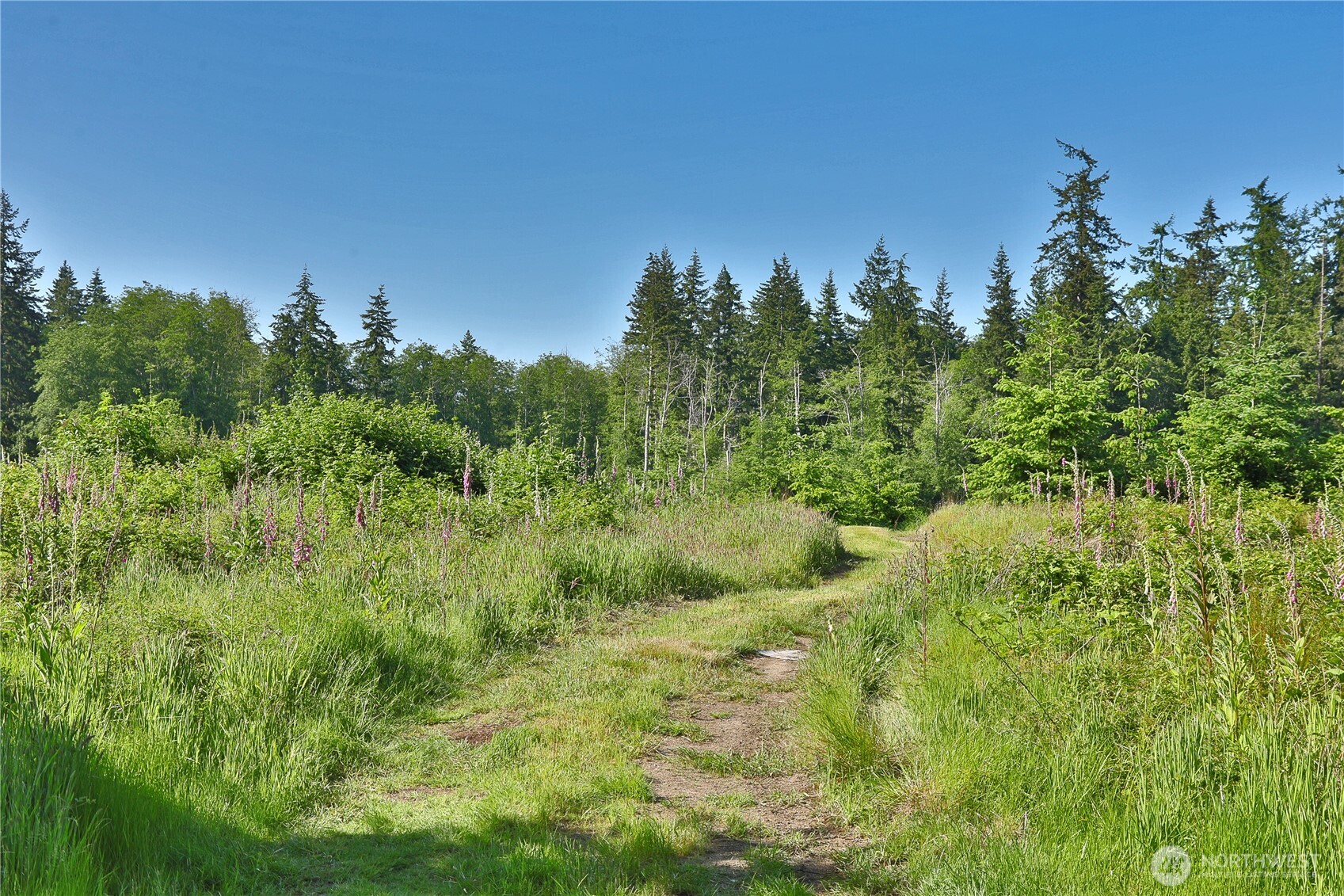 2062 Goodell Road Property Photo 24