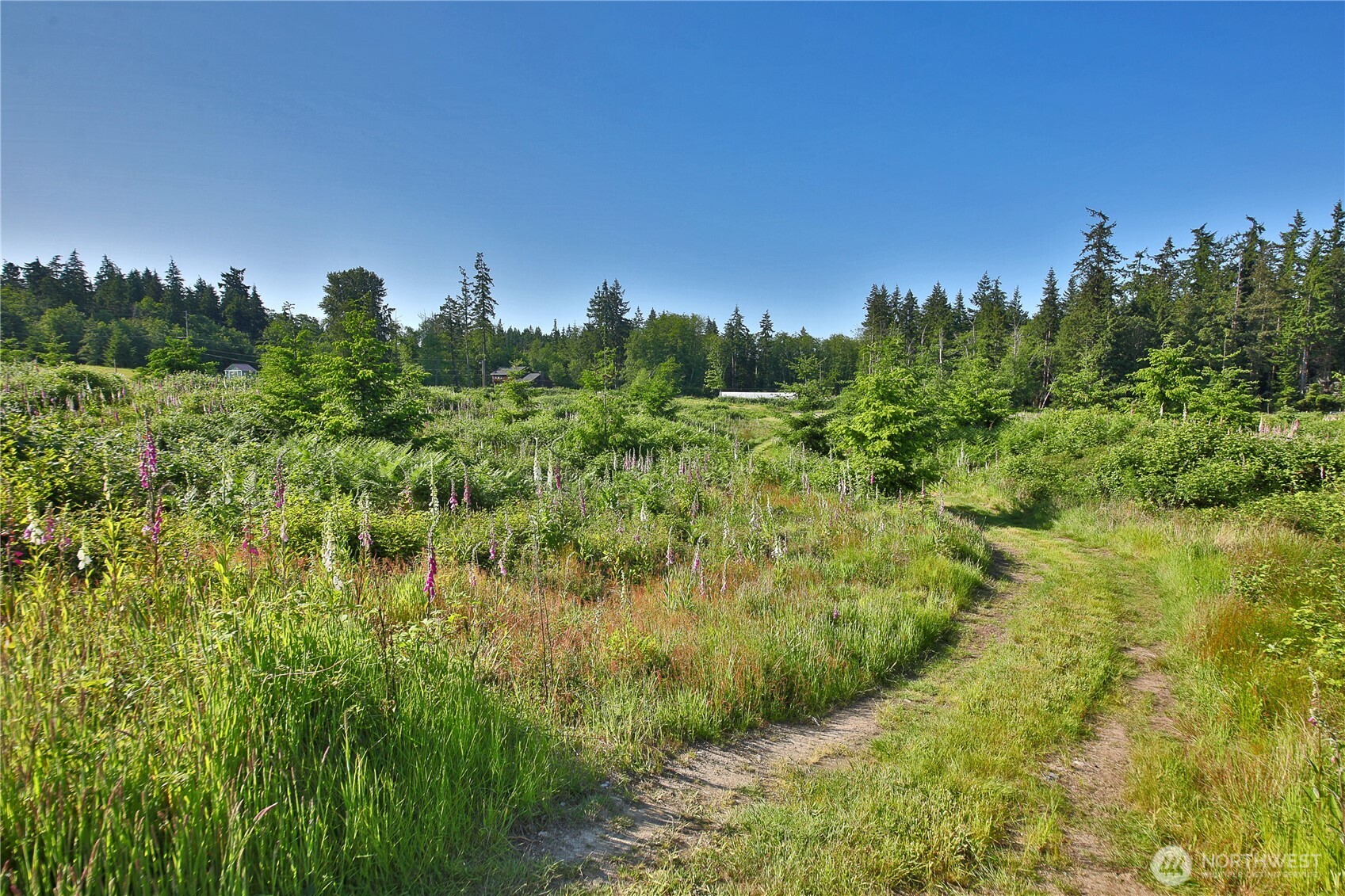 2062 Goodell Road Property Photo 25