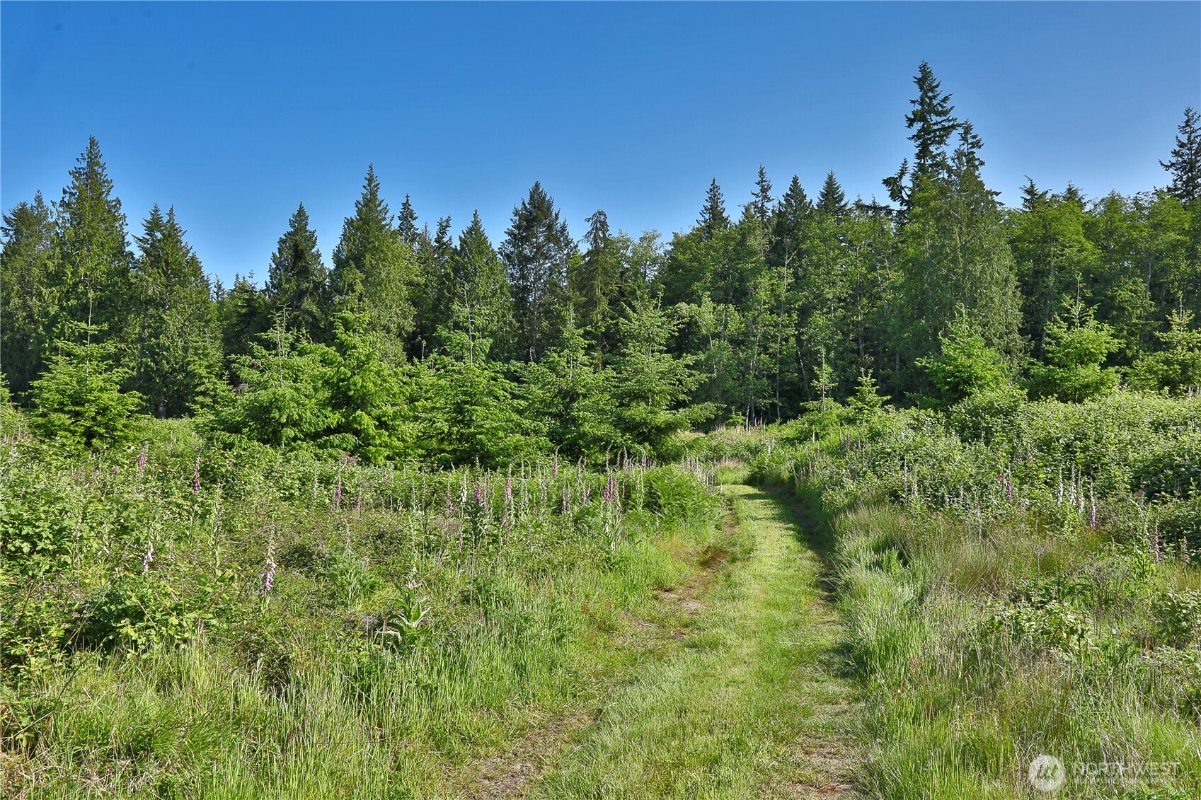 2062 Goodell Road Property Photo 27