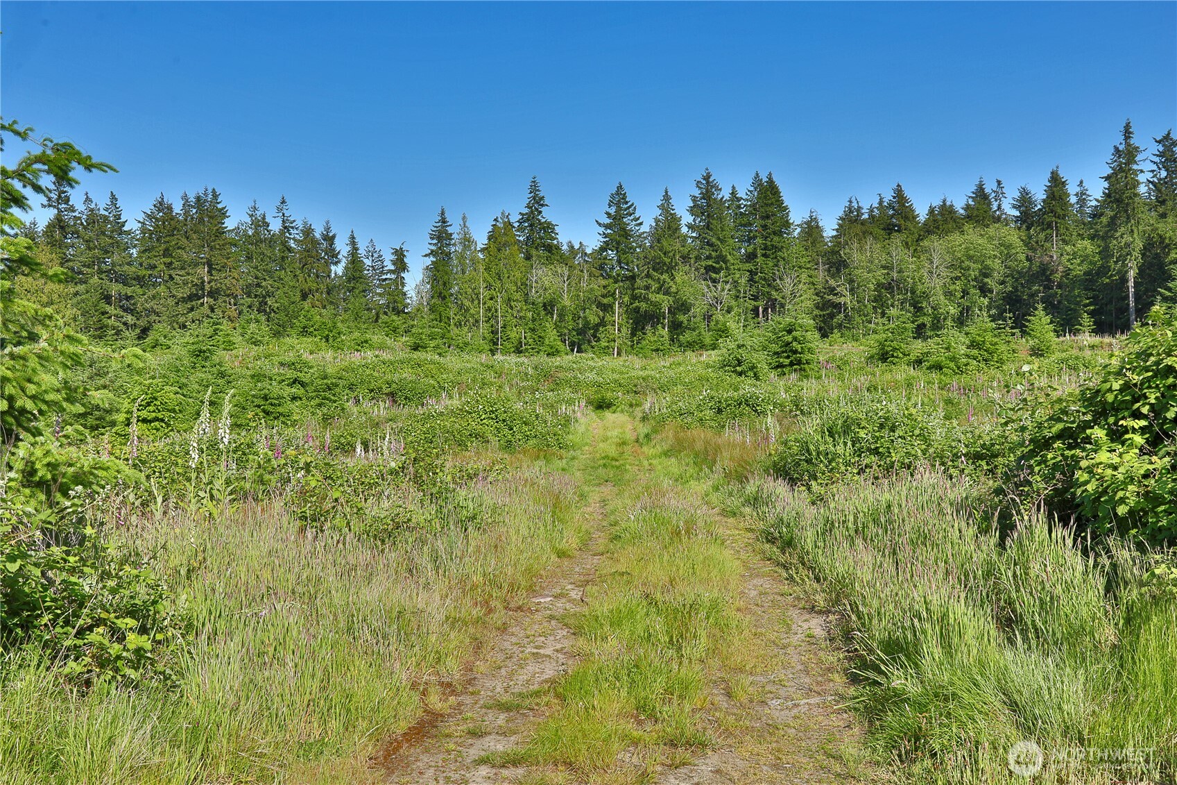 2062 Goodell Road Property Photo 28