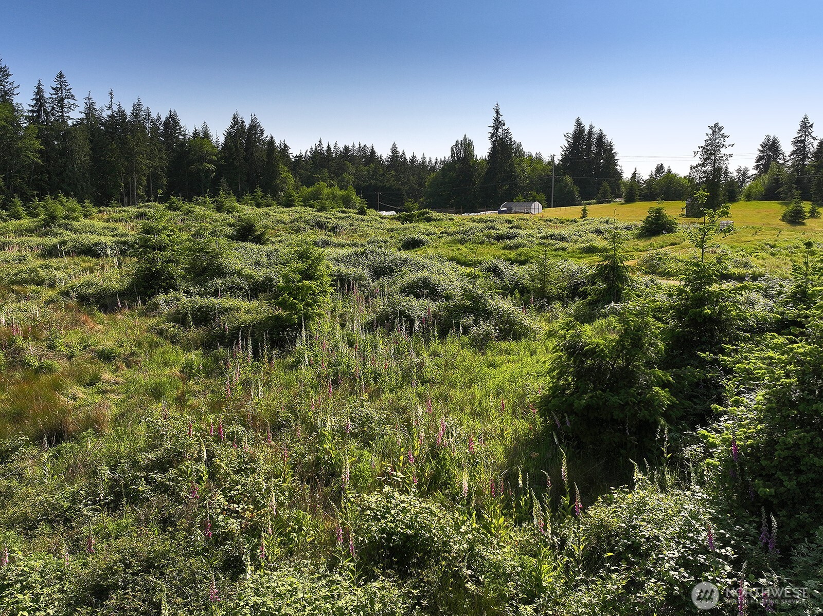 2062 Goodell Road Property Photo 37