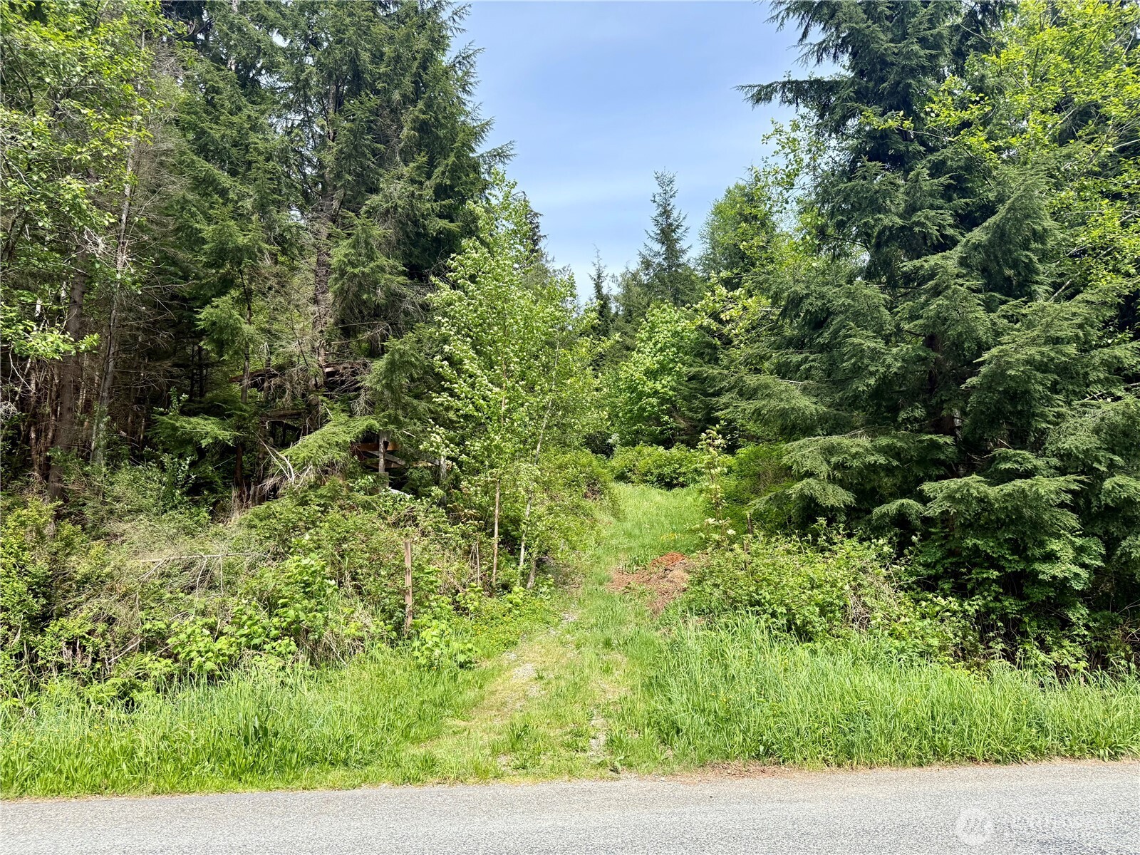 0 North Shore Drive Property Photo 10