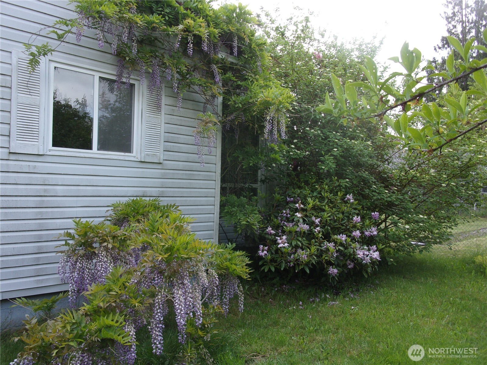 9404 A Street Property Photo 3
