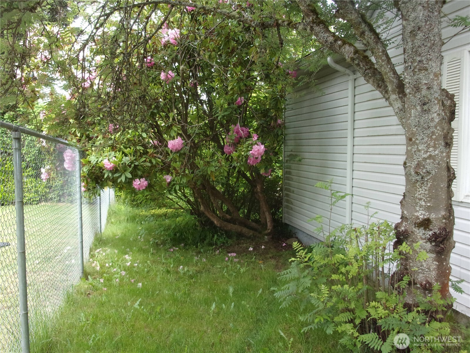 9404 A Street Property Photo 35