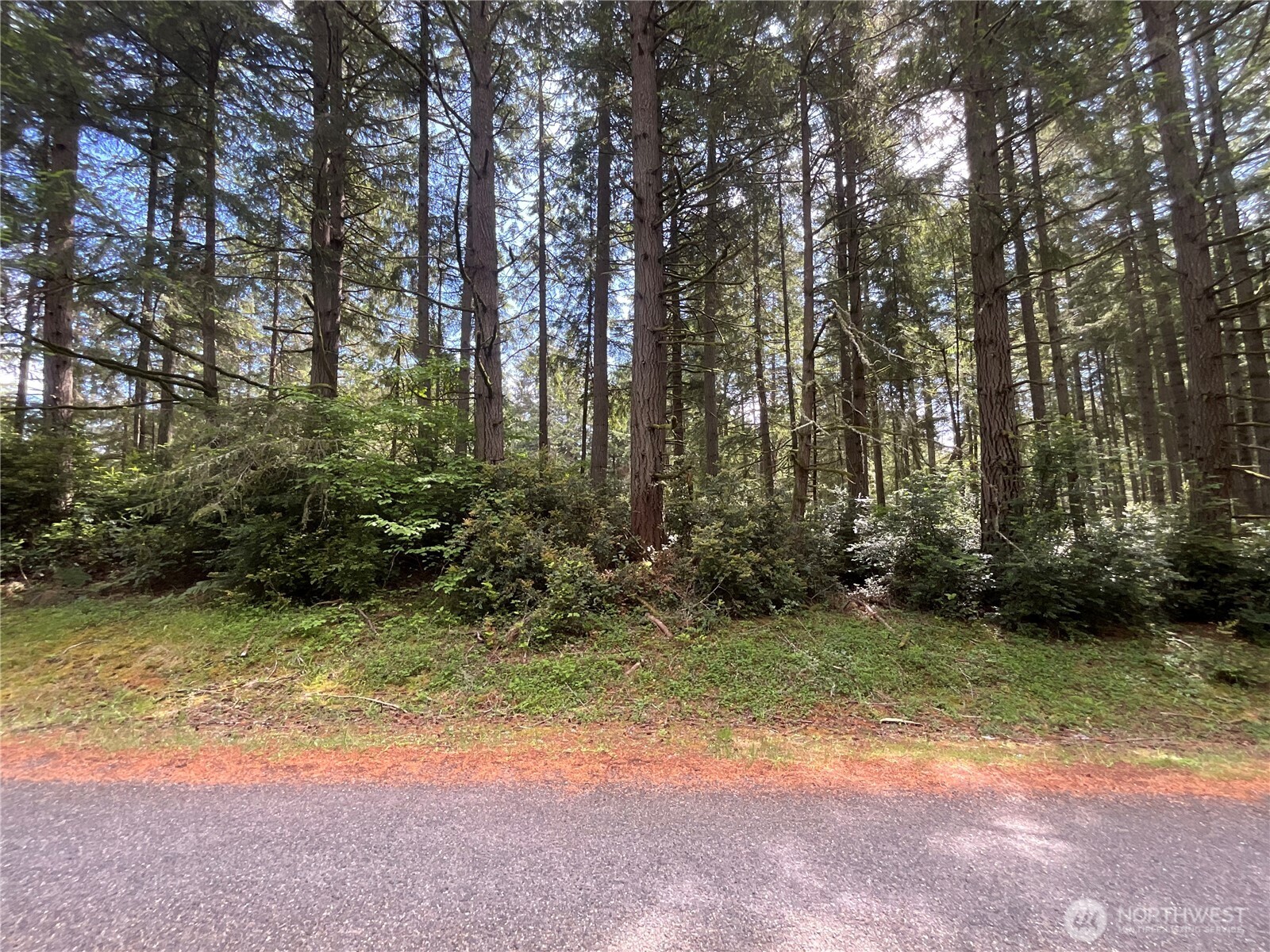 11321 Lake Josephine Avenue Property Photo 1