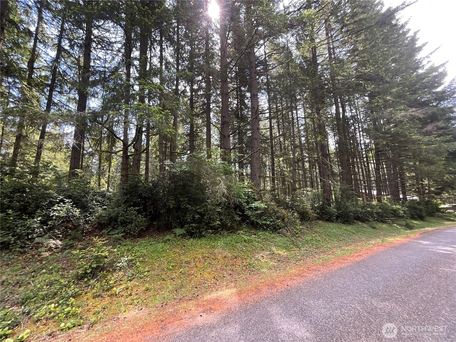 11321 Lake Josephine Avenue Property Photo 2