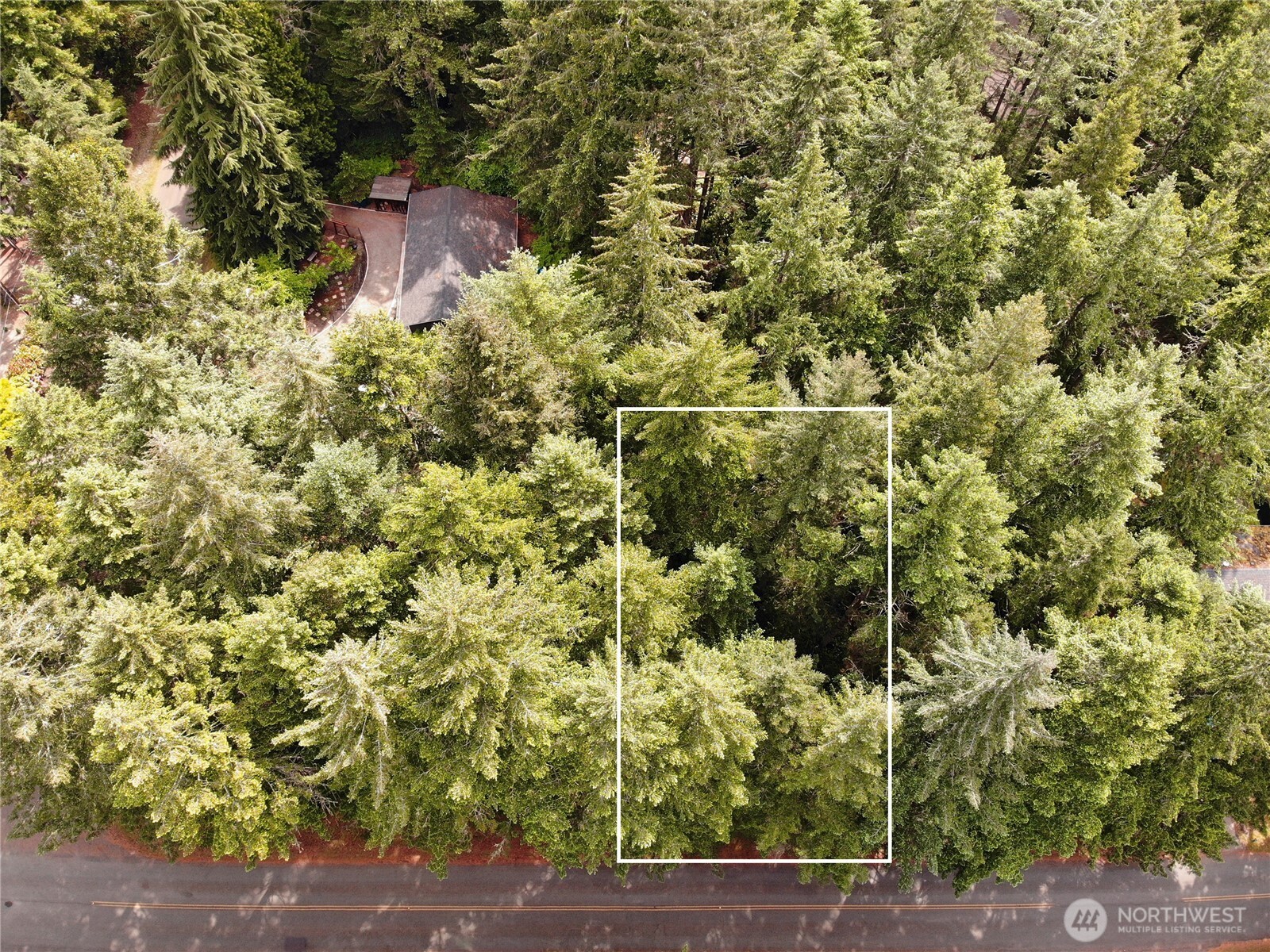 11321 Lake Josephine Avenue Property Photo 6
