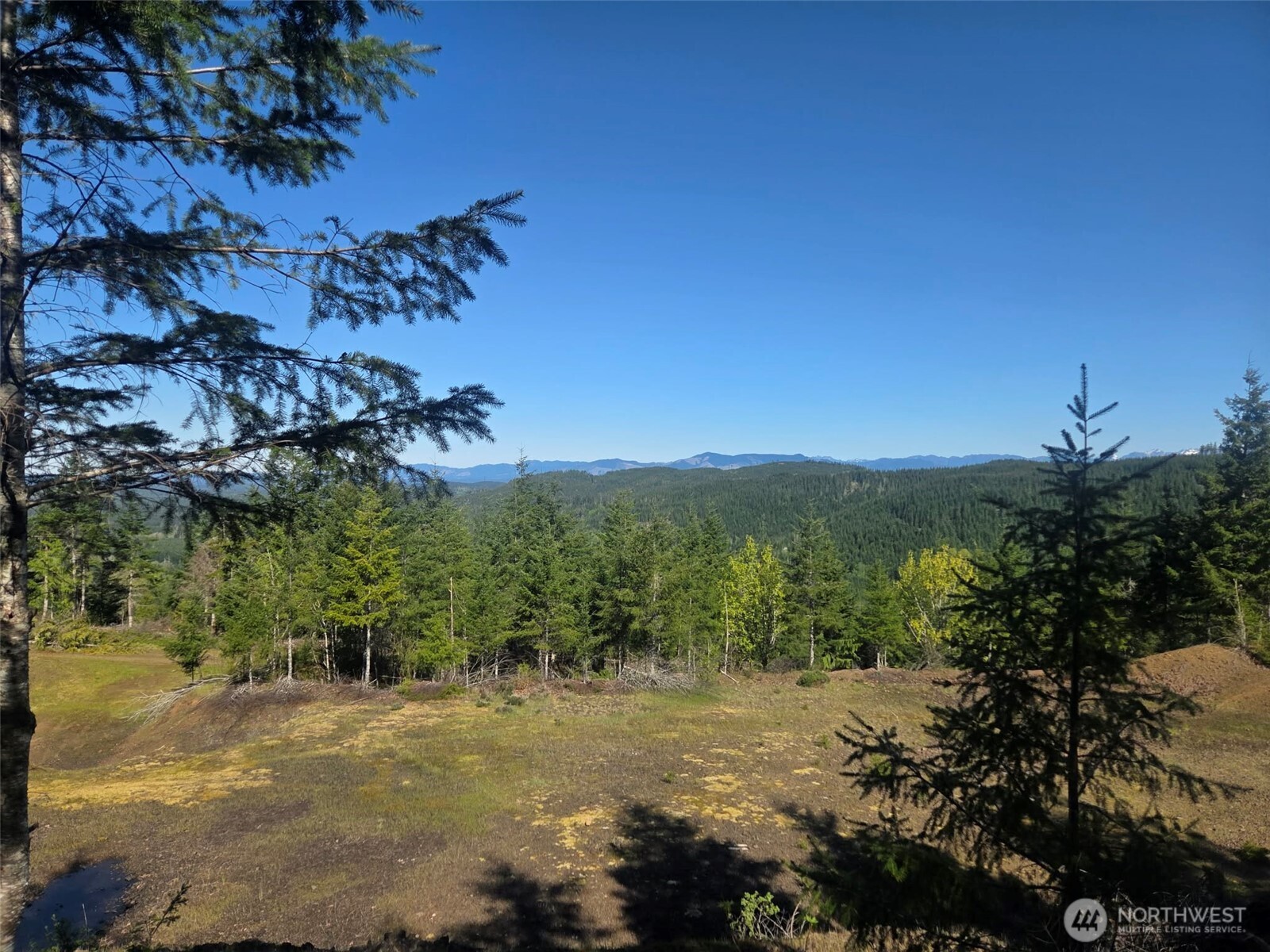 7241 W Cloquallum Road Property Photo 1
