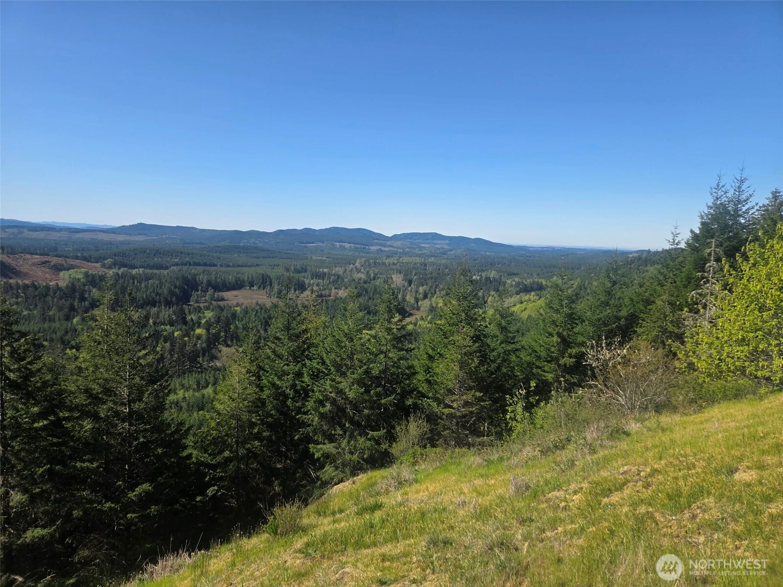 7241 W Cloquallum Road Property Photo 2