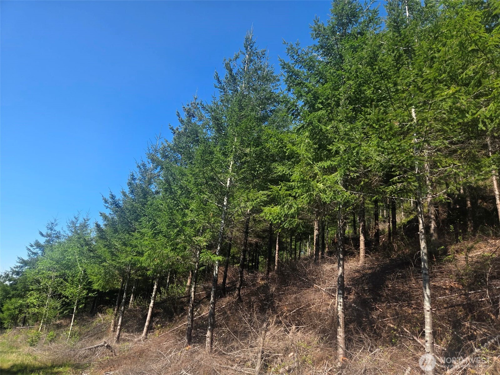 7241 W Cloquallum Road Property Photo 3