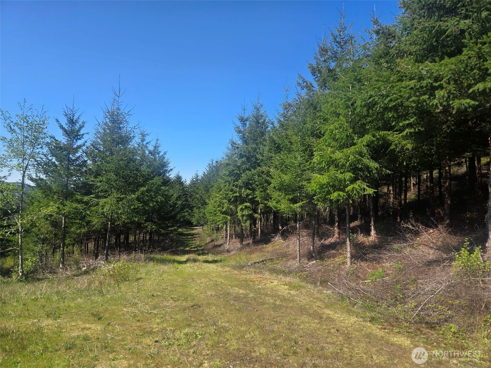 7241 W Cloquallum Road Property Photo 5