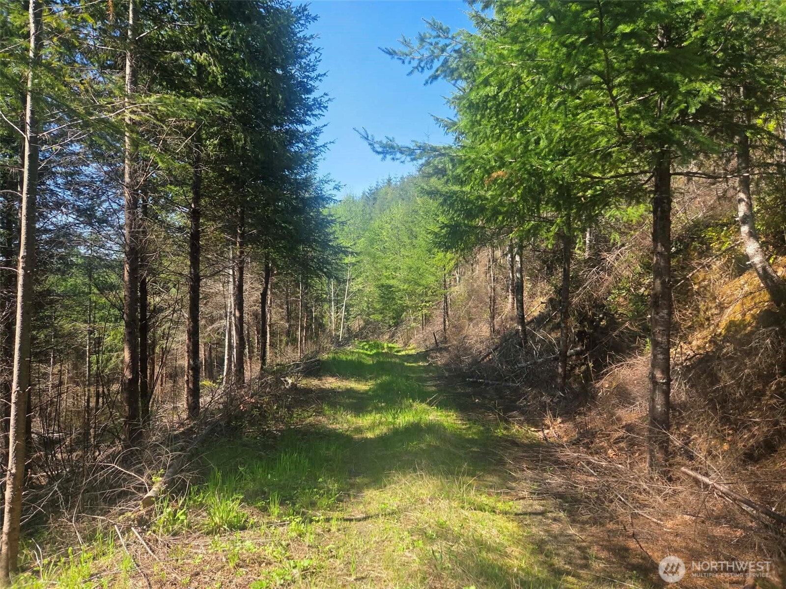 7241 W Cloquallum Road Property Photo 7