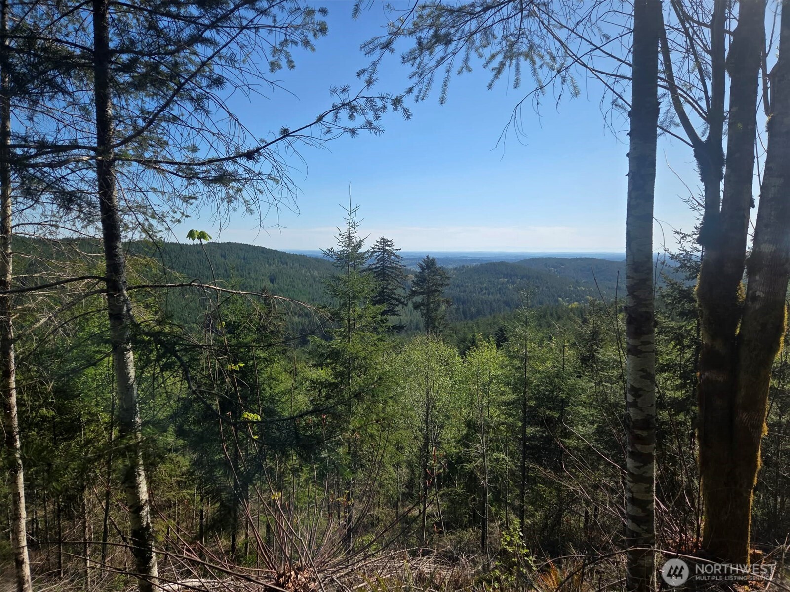 7241 W Cloquallum Road Property Photo 8