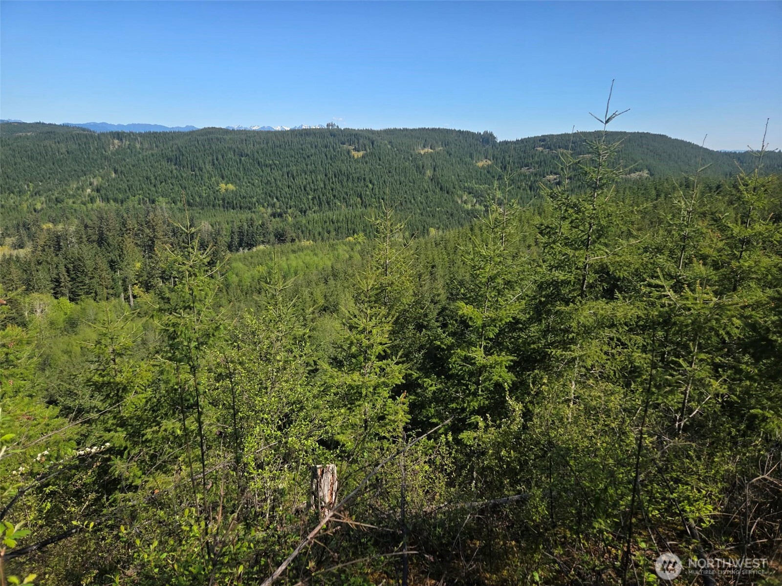 7241 W Cloquallum Road Property Photo 10