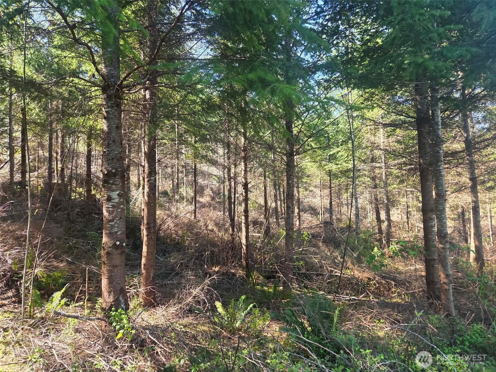 7241 W Cloquallum Road Property Photo 15