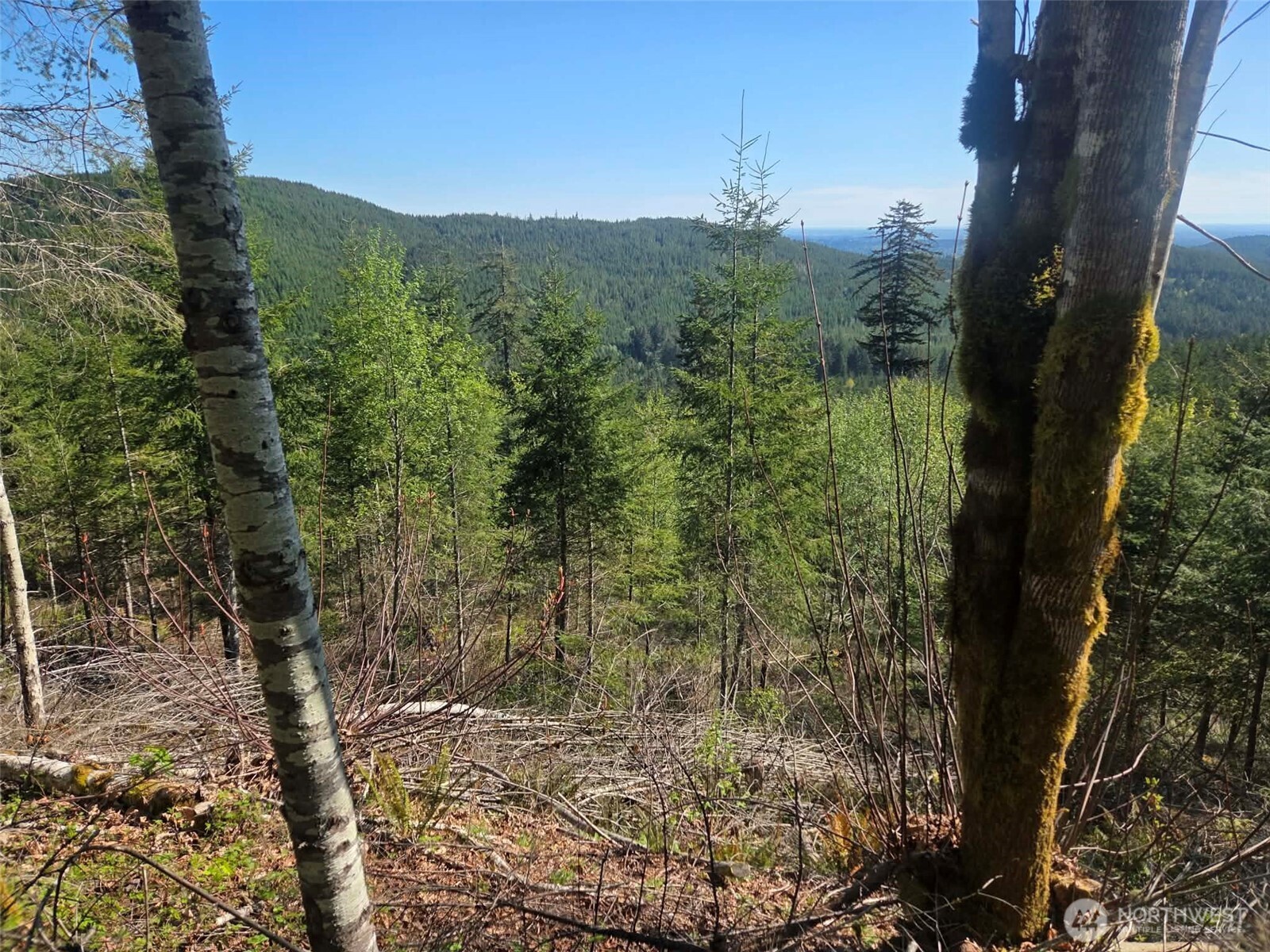 7241 W Cloquallum Road Property Photo 16