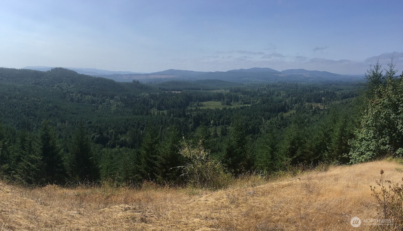 7241 W Cloquallum Road Property Photo 17