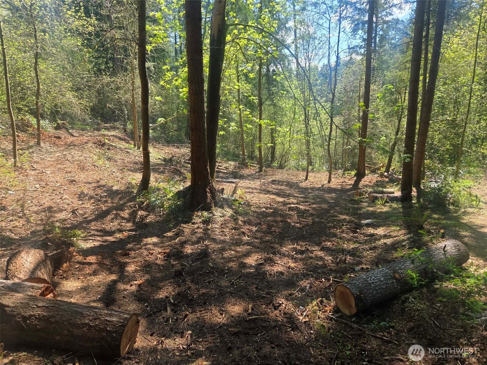 22439 Vale Court Property Photo 1