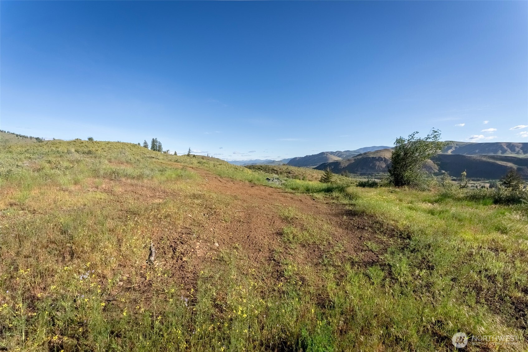 0 Tbd Alder Road Property Photo 3
