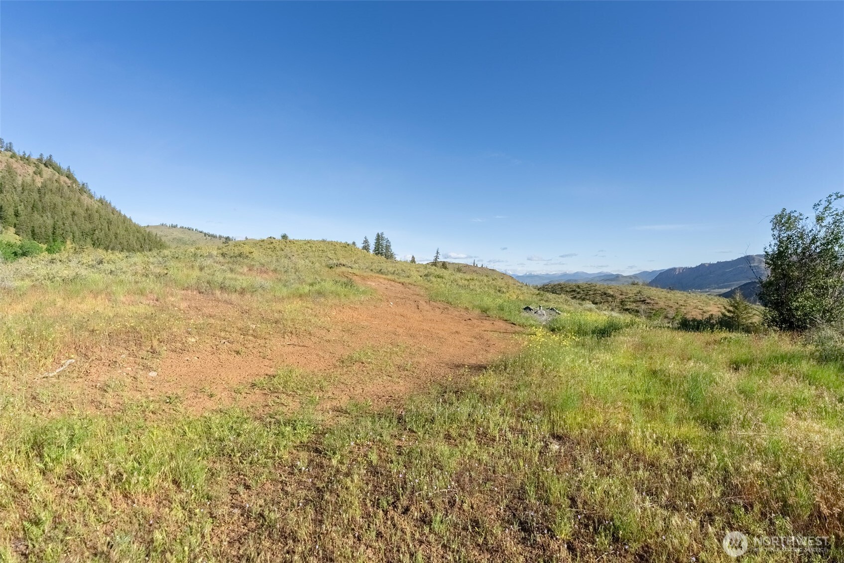 0 Tbd Alder Road Property Photo 4