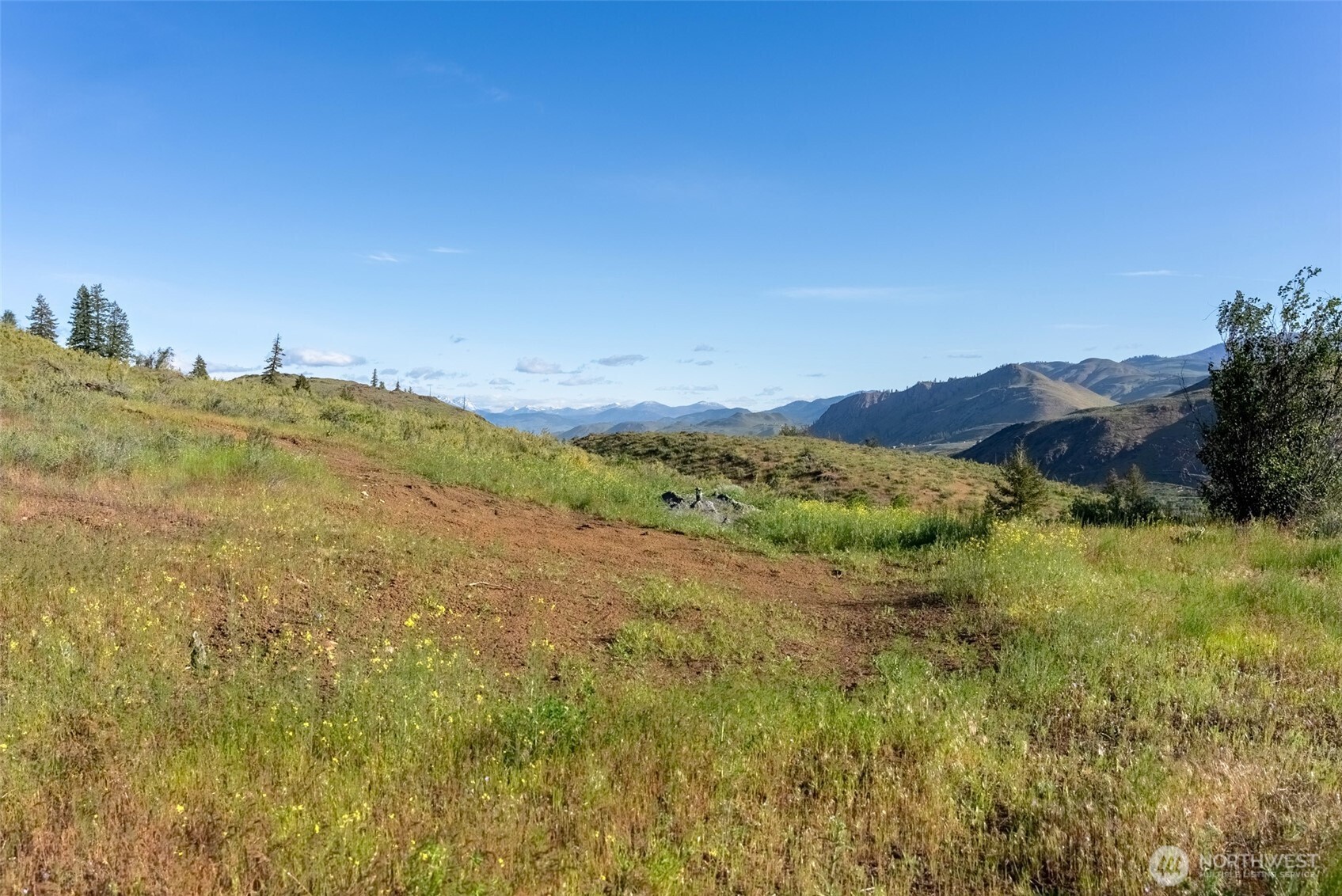 0 Tbd Alder Road Property Photo 5