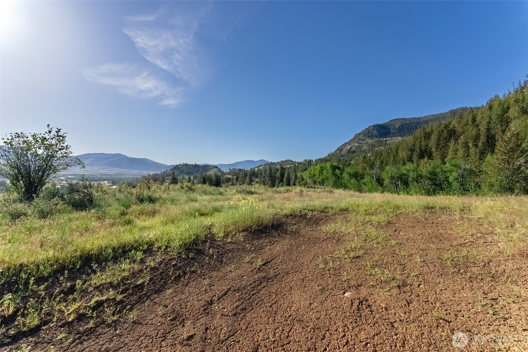 0 Tbd Alder Road Property Photo 7