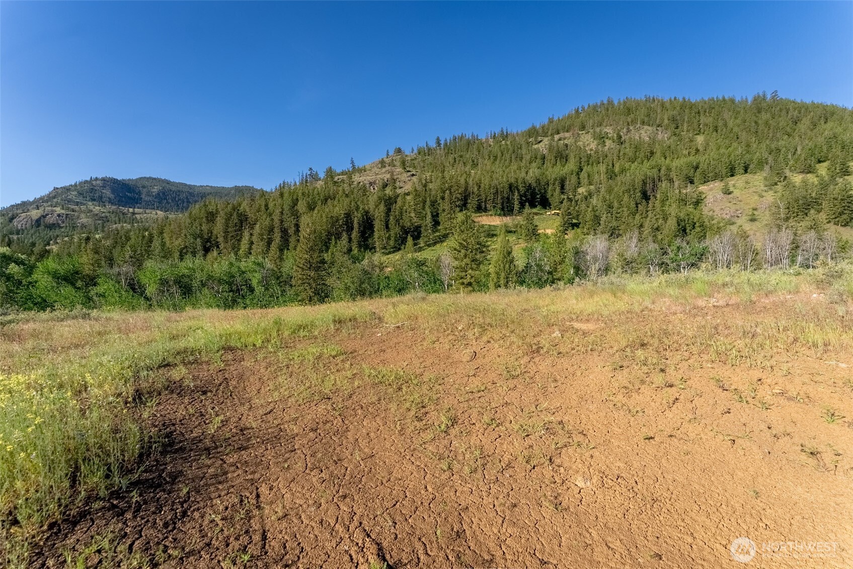 0 Tbd Alder Road Property Photo 29