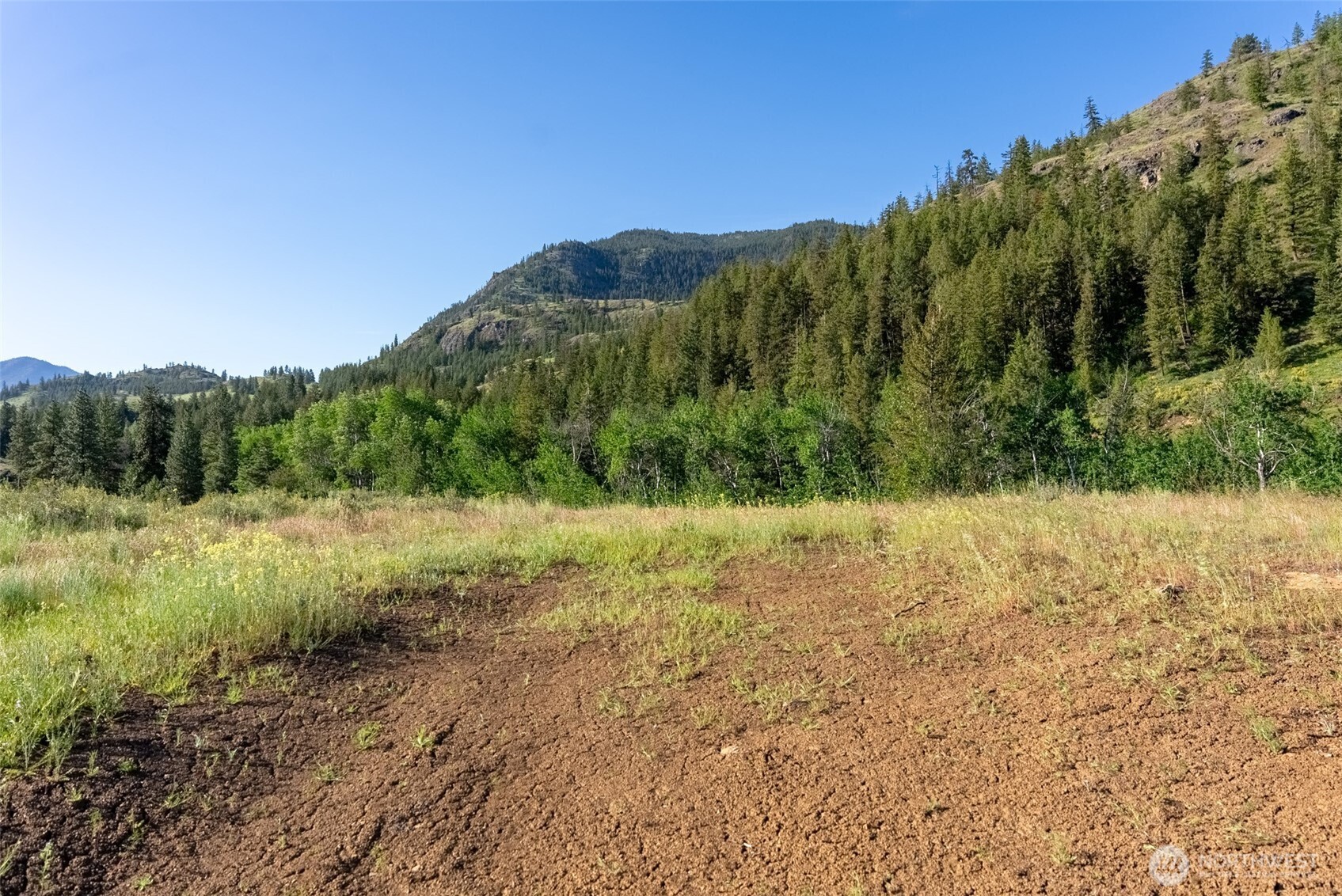 0 Tbd Alder Road Property Photo 30