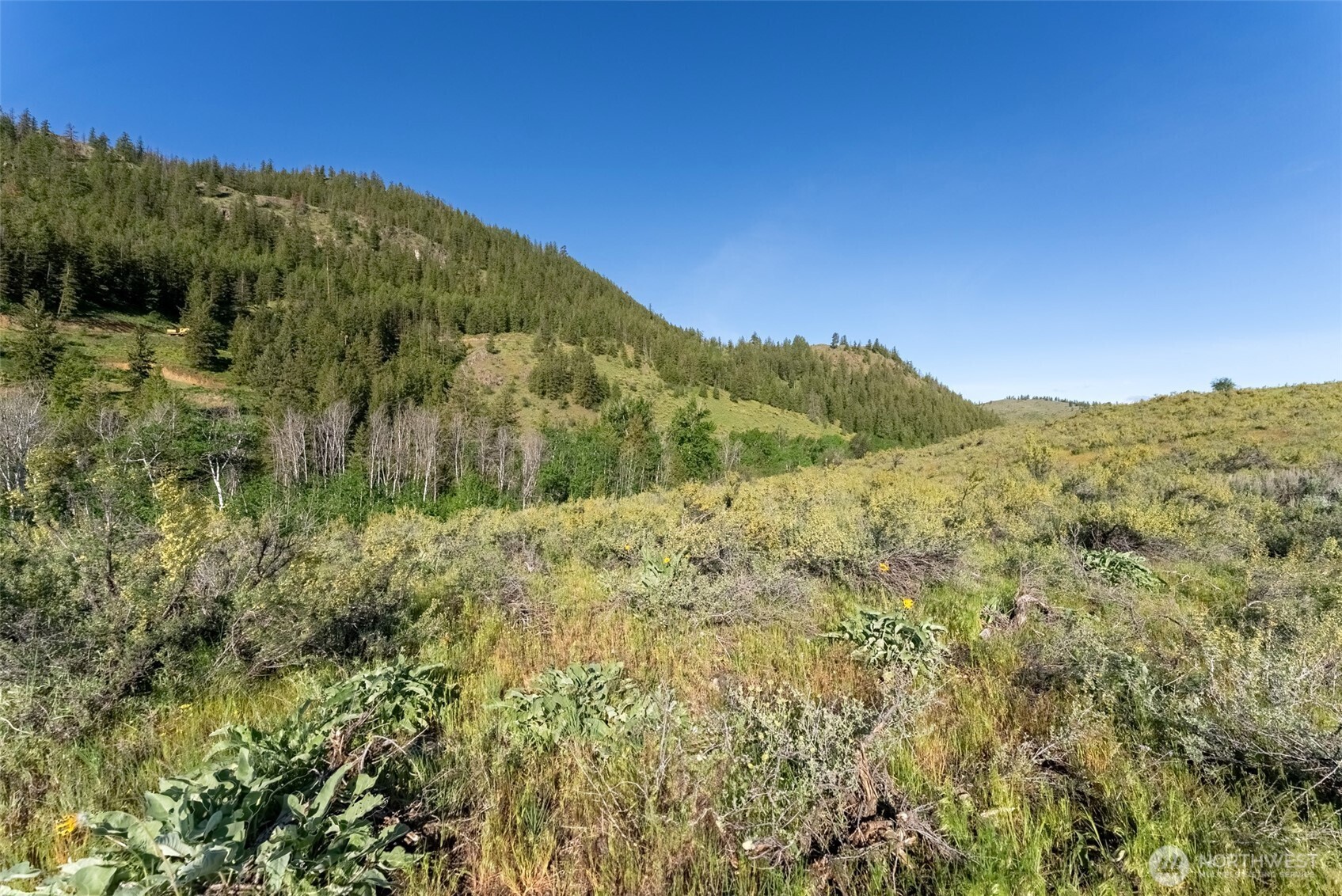 0 Tbd Alder Road Property Photo 33