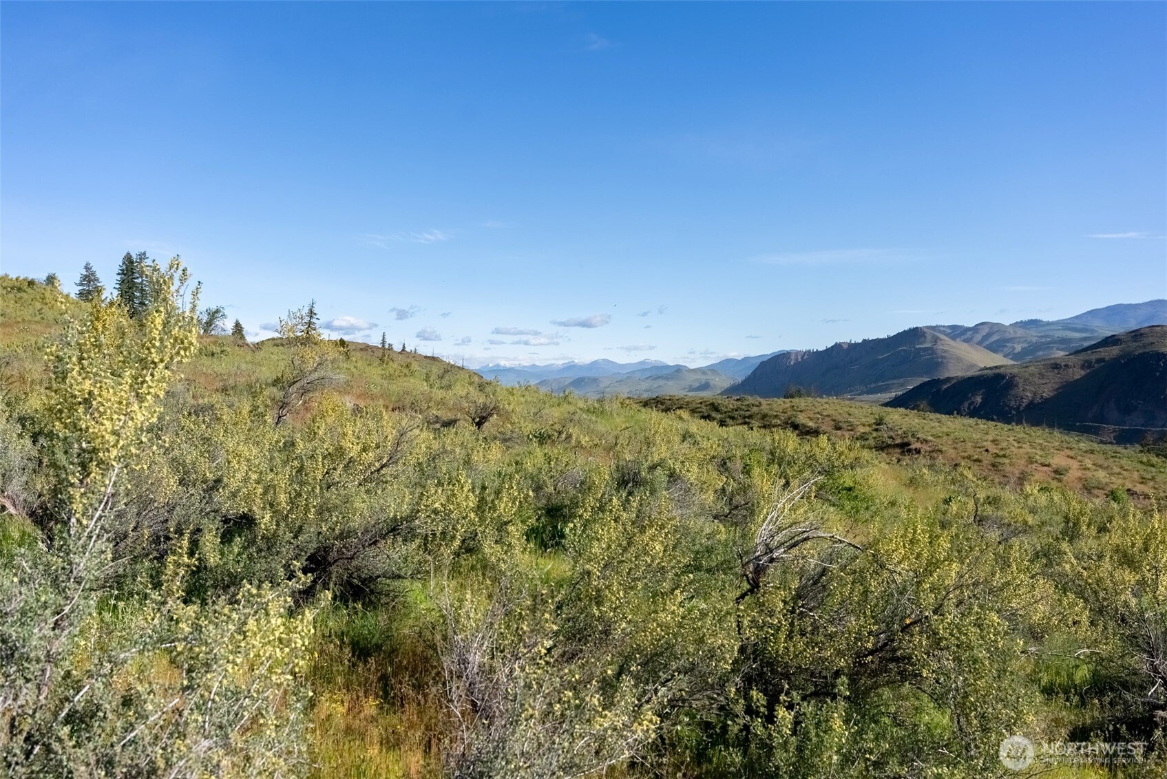0 Tbd Alder Road Property Photo 35
