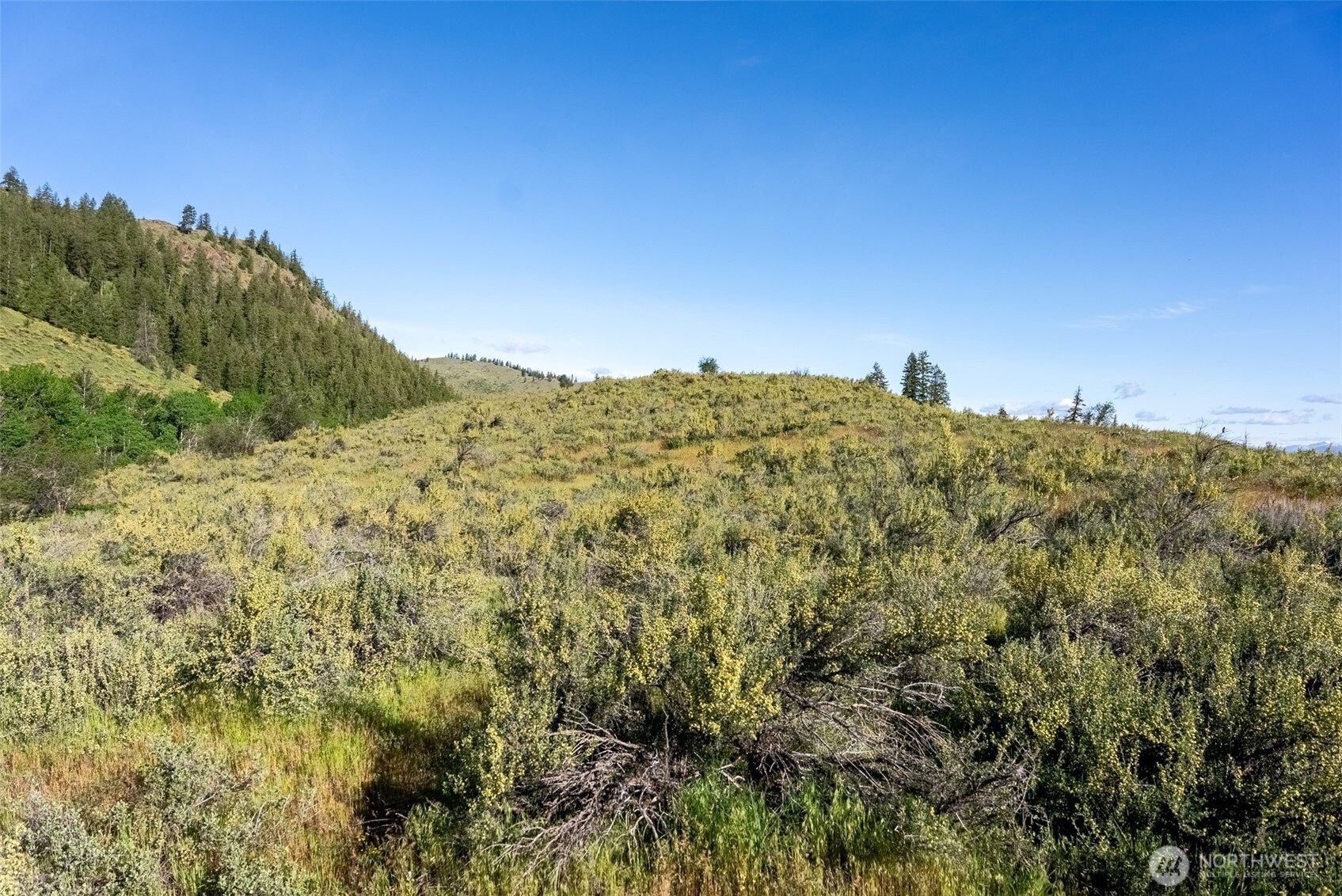 0 Tbd Alder Road Property Photo 36