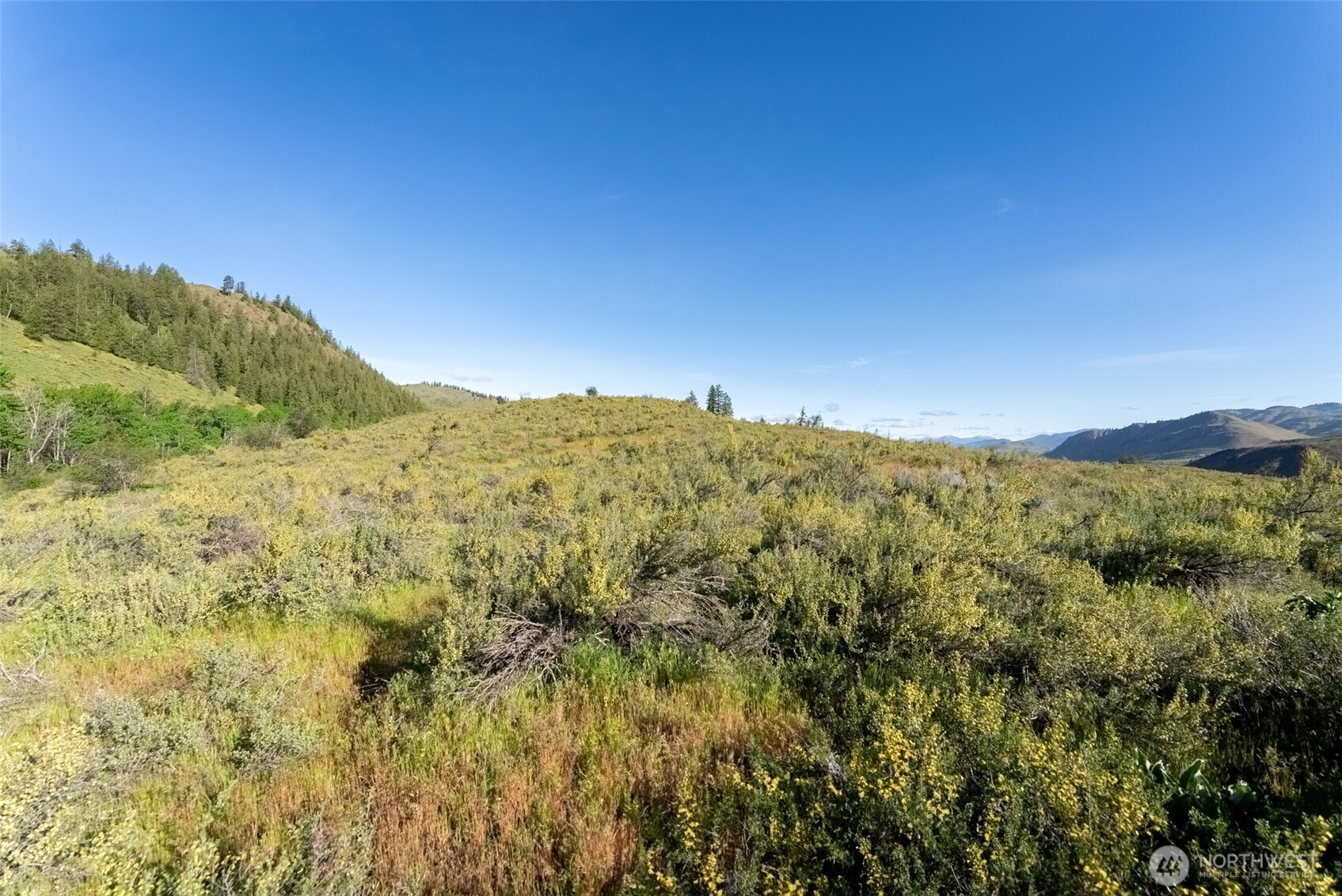 0 Tbd Alder Road Property Photo 37