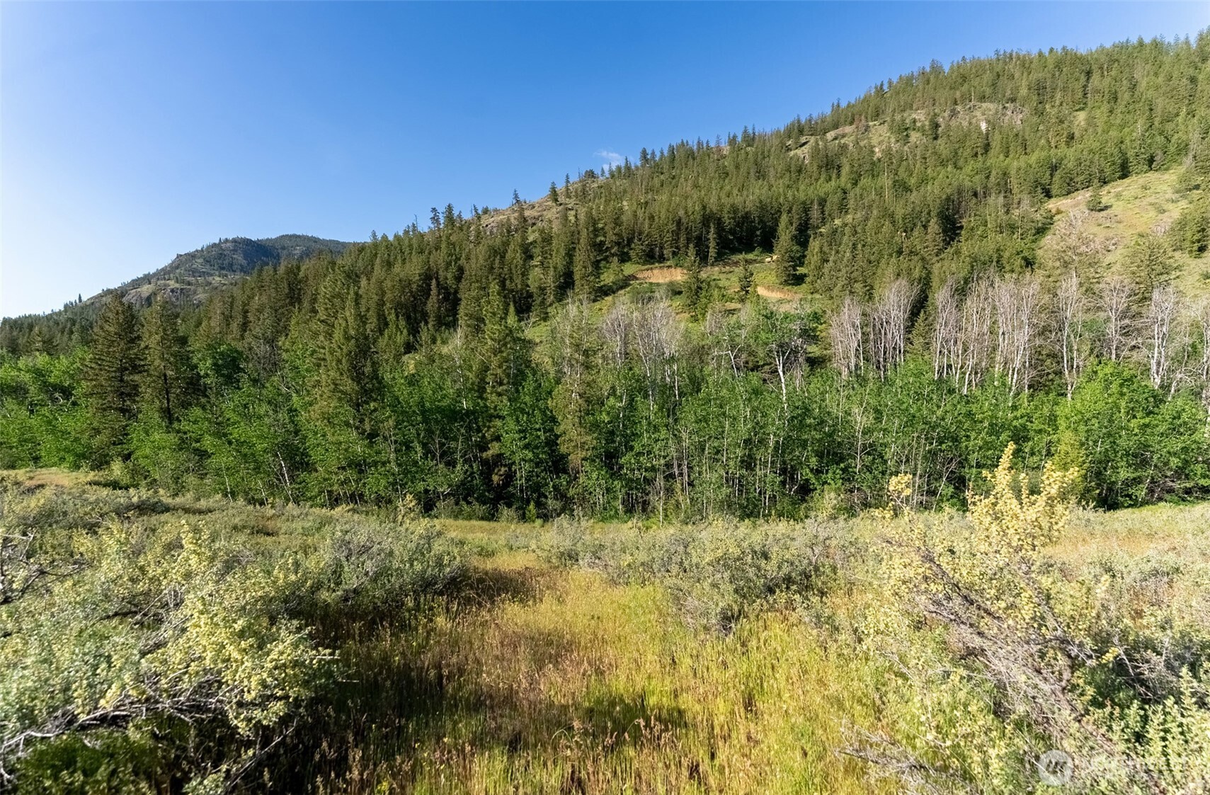 0 Tbd Alder Road Property Photo 38