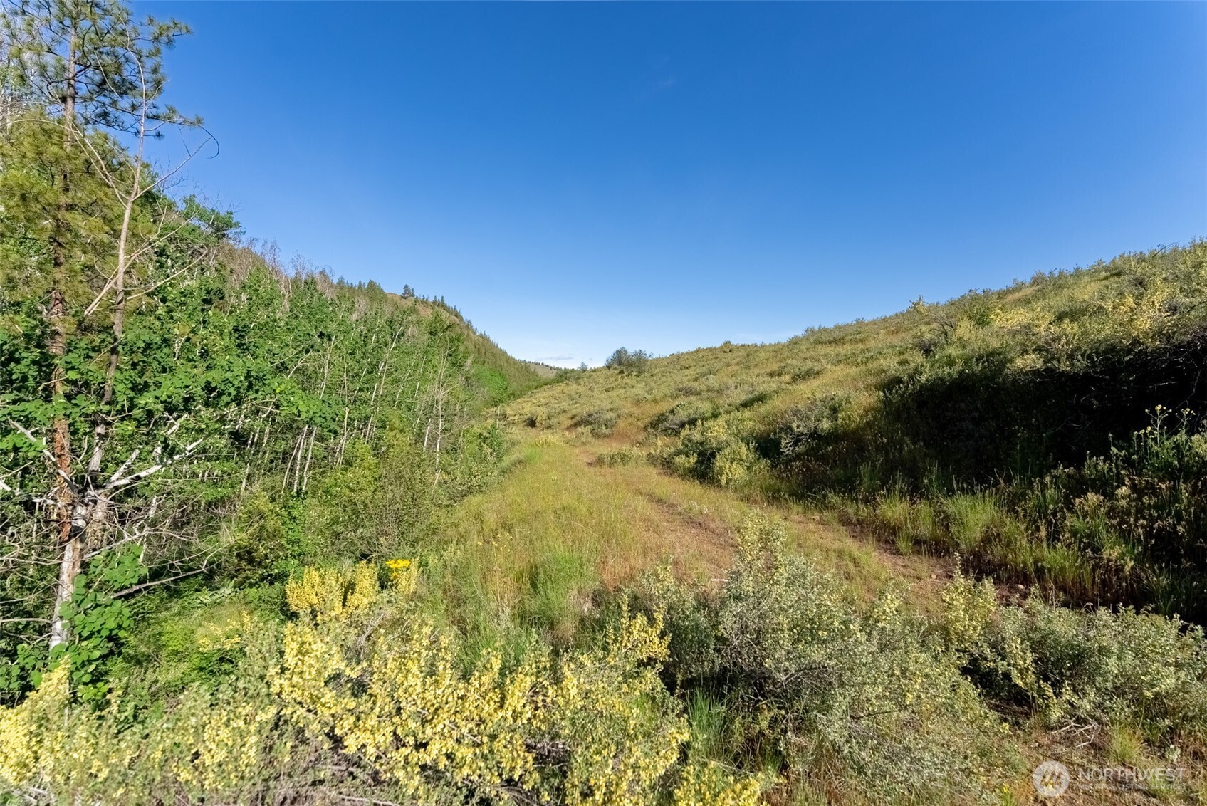 0 Tbd Alder Road Property Photo 39
