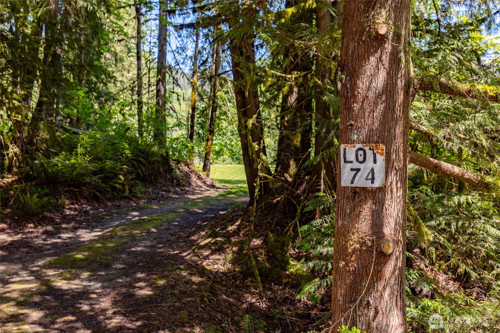 0 Lot 74 Skagit View Drive Property Photo 1