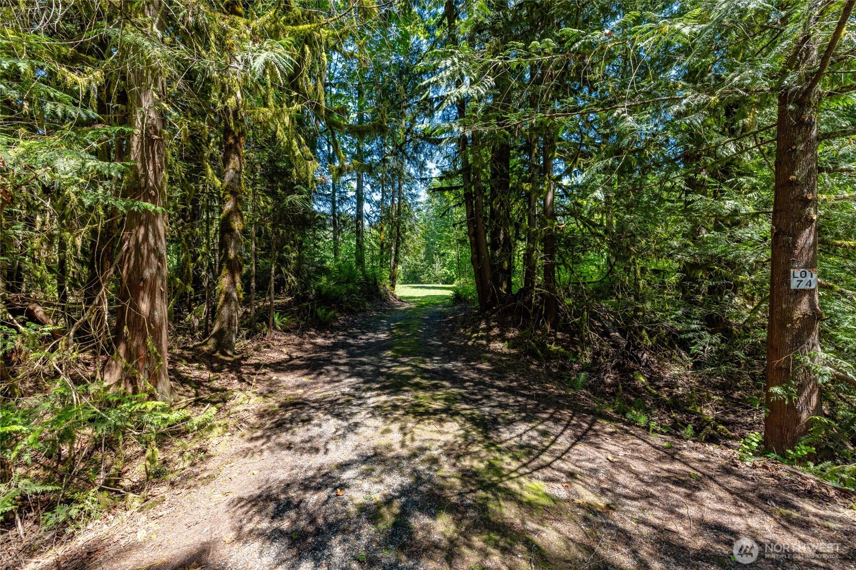 0 Lot 74 Skagit View Drive Property Photo 2