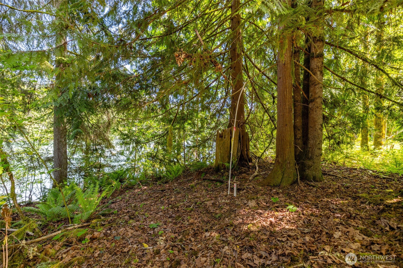0 Lot 74 Skagit View Drive Property Photo 7