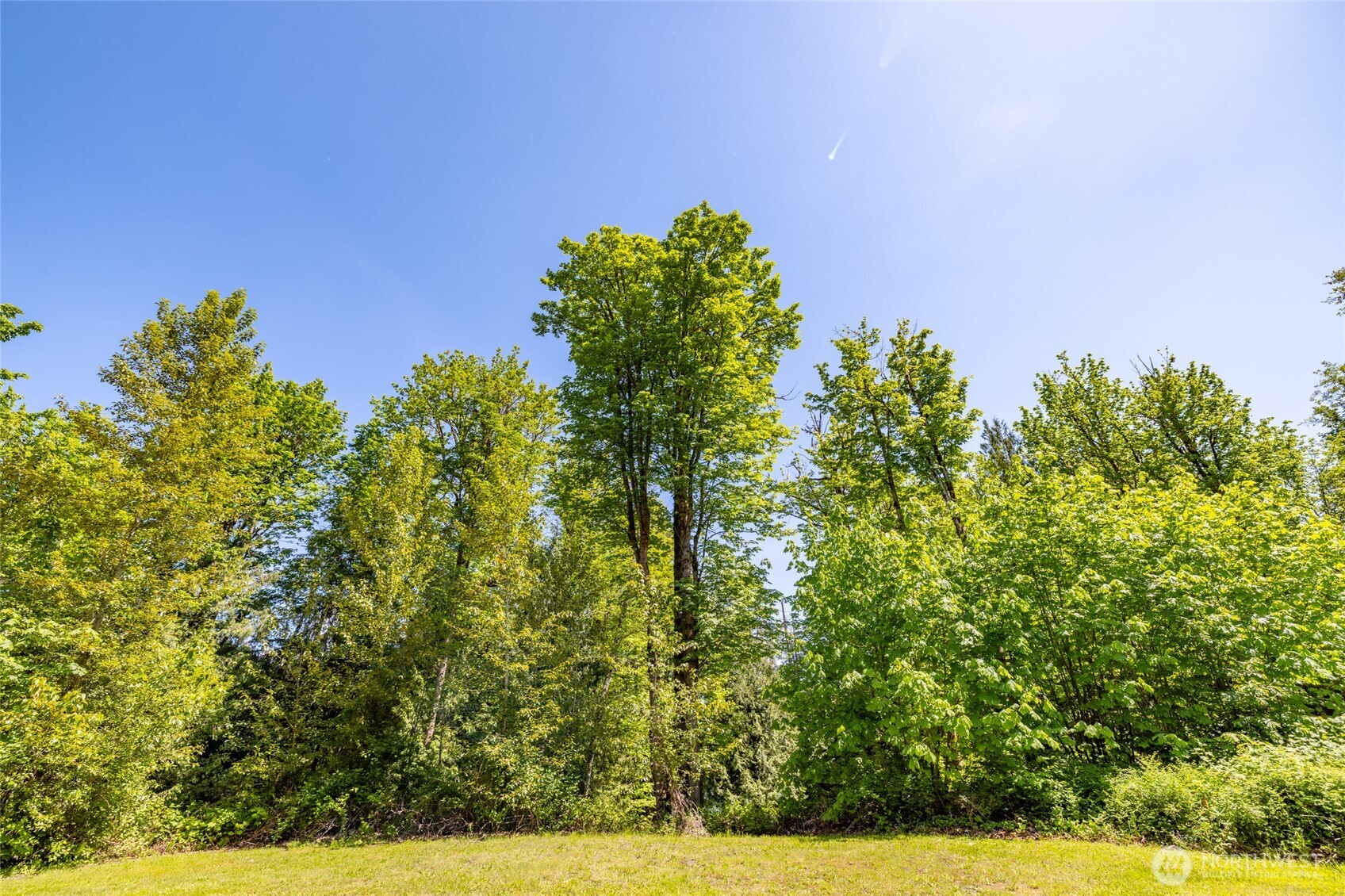 0 Lot 74 Skagit View Drive Property Photo 11