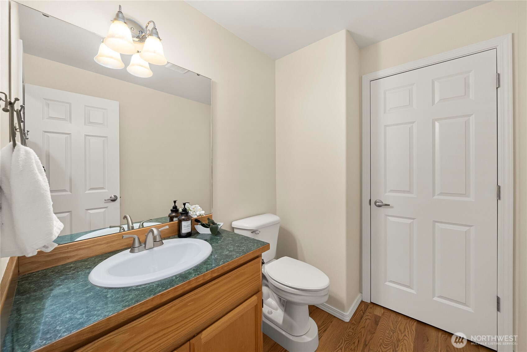 16910 132nd Avenue Property Photo 21