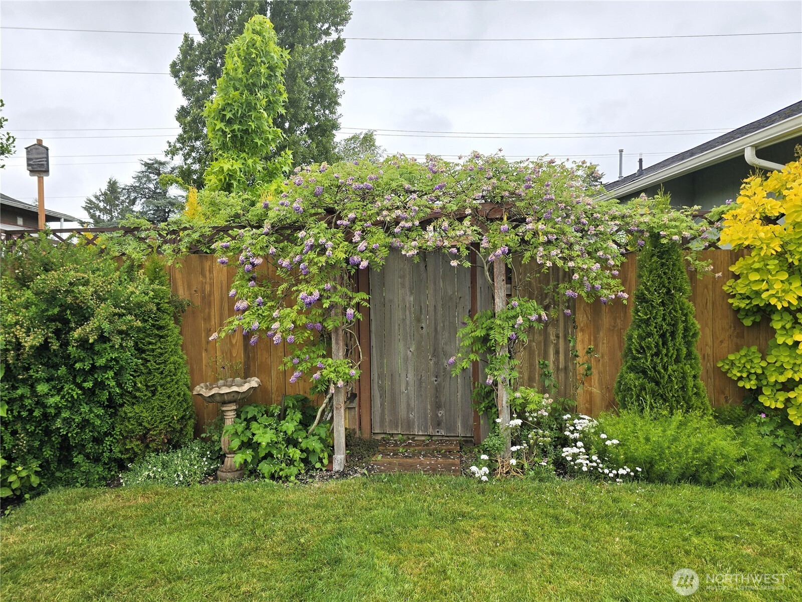 1102 W Anderson Street Property Photo 34