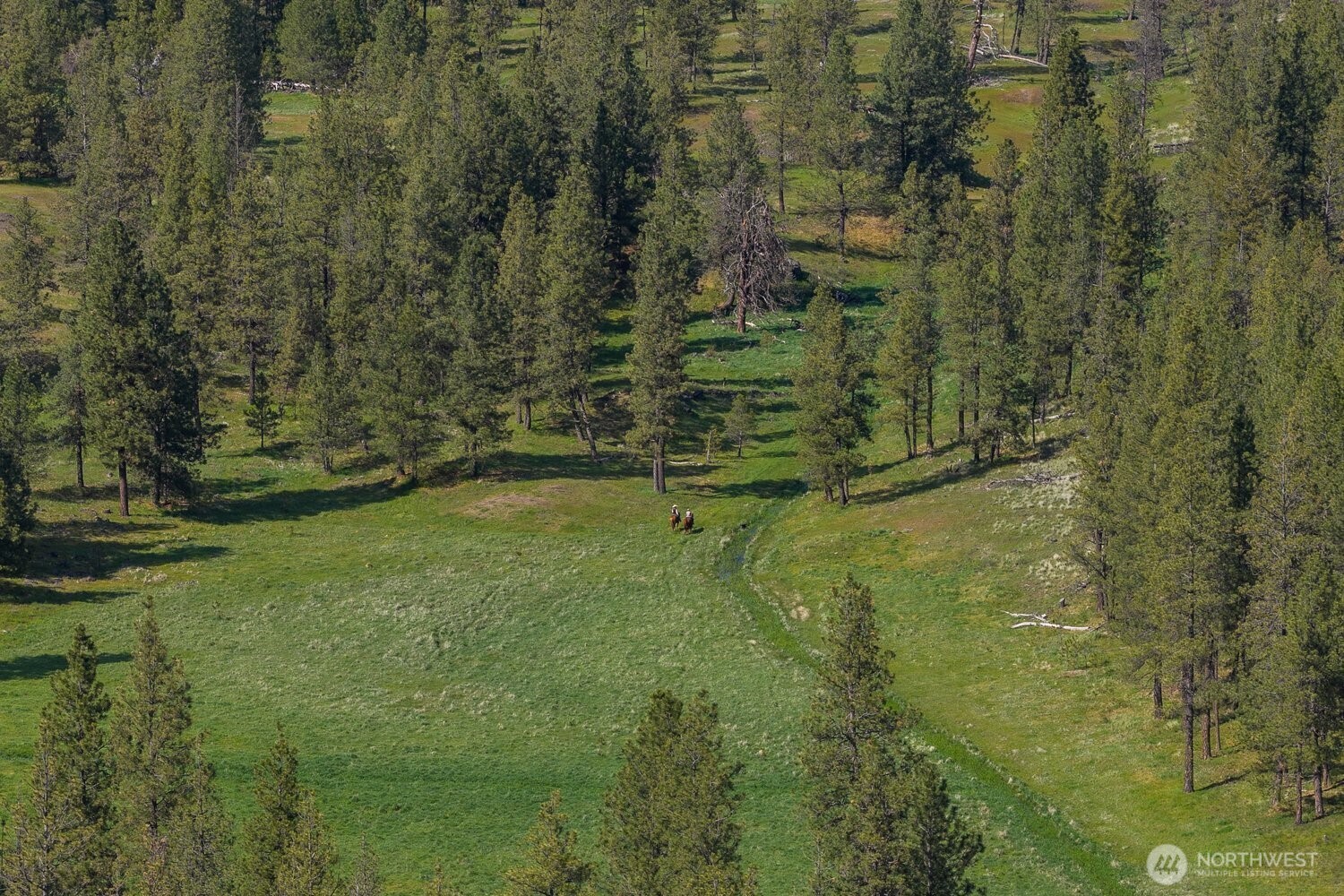 32312 North Pine Creek Road Property Photo 2