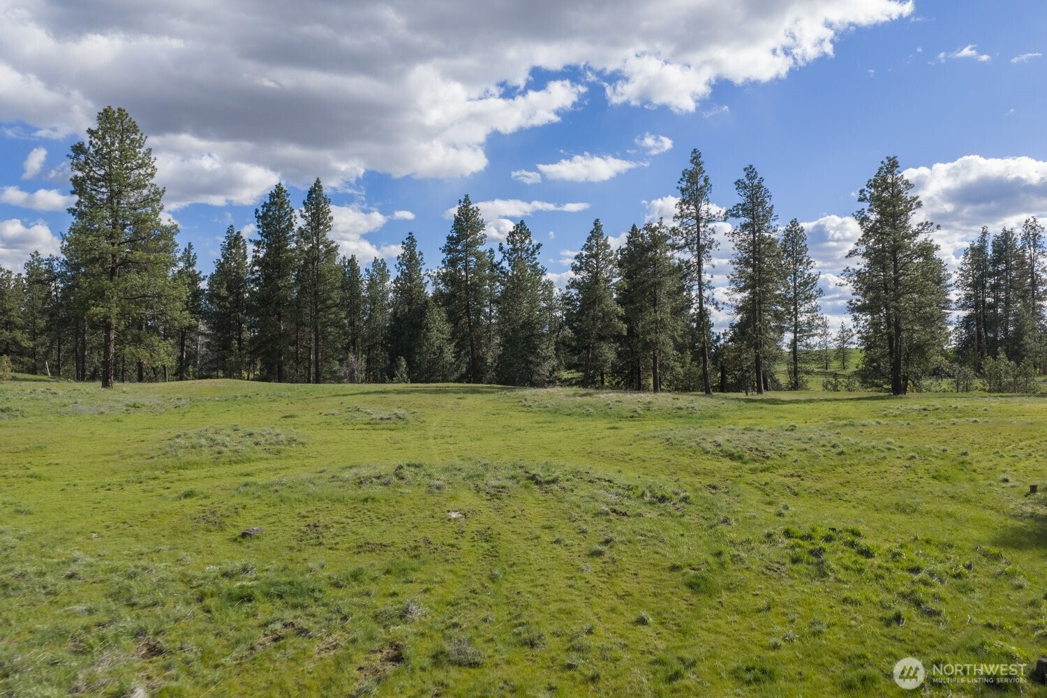 32312 North Pine Creek Road Property Photo 3